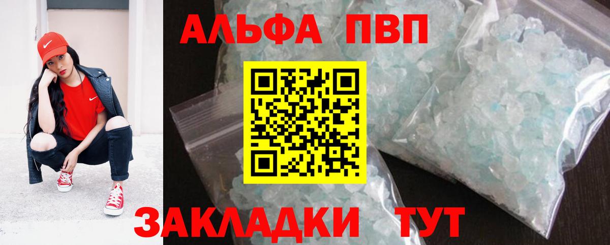 Alfa_PVP СК Нововоронеж
