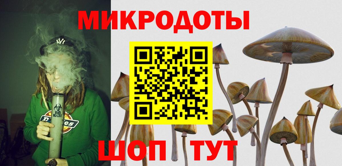 Галлюциногенные грибы Magic Shrooms Нововоронеж