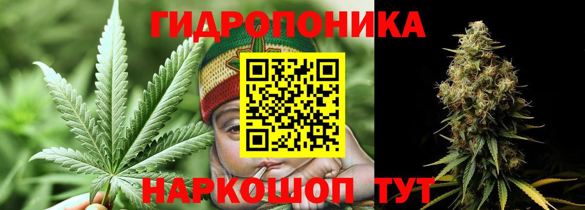 Шишки марихуана VHQ Нововоронеж